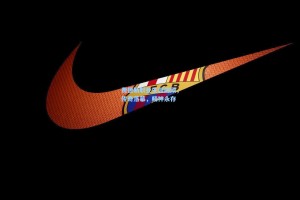 费德勒职业生涯回顾，传奇落幕，精神永存