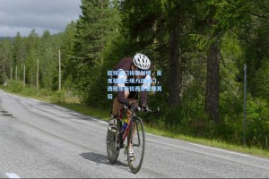 欧预赛门将零封榜，皮克福德七场力保城门，西班牙新锐西蒙紧随其后