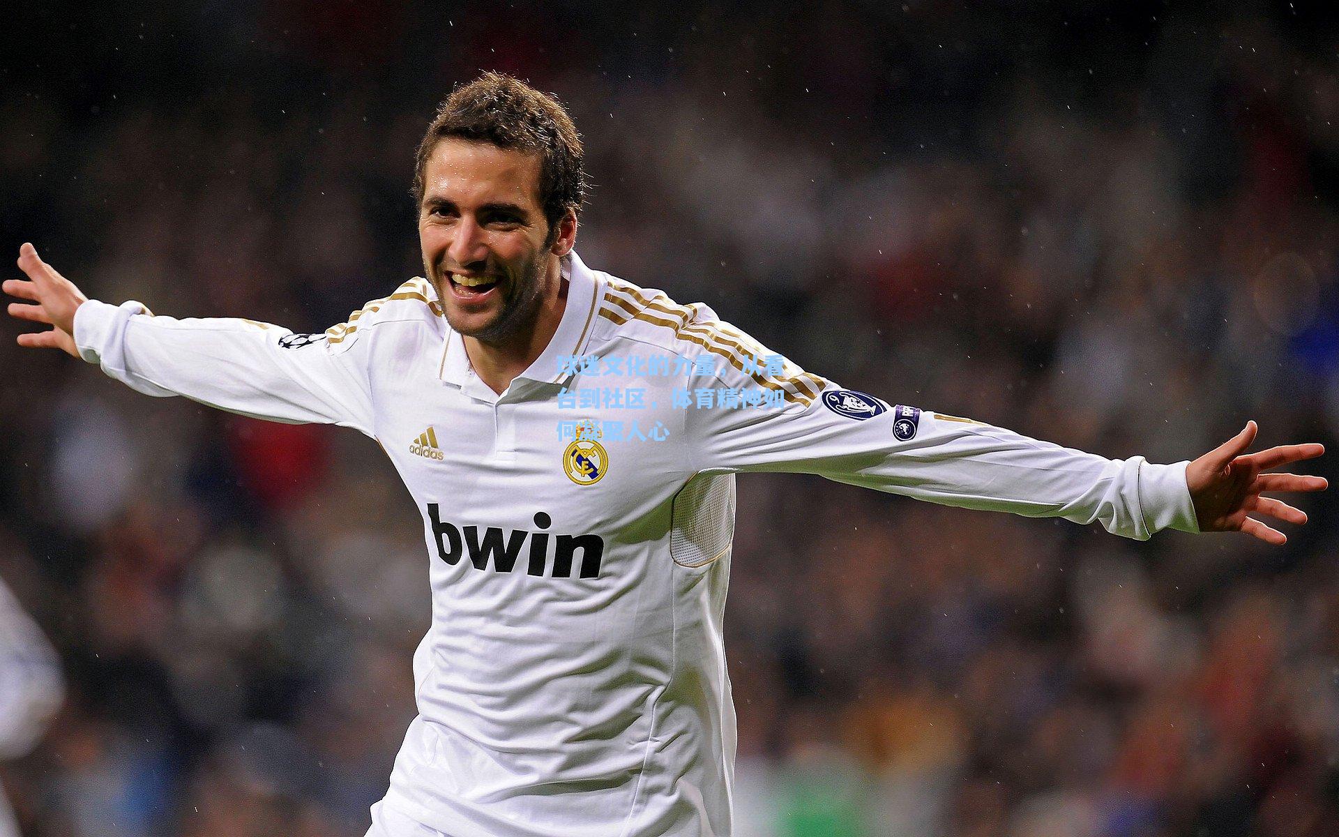 球迷文化的力量,从看台到社区,体育精神如何凝聚人心