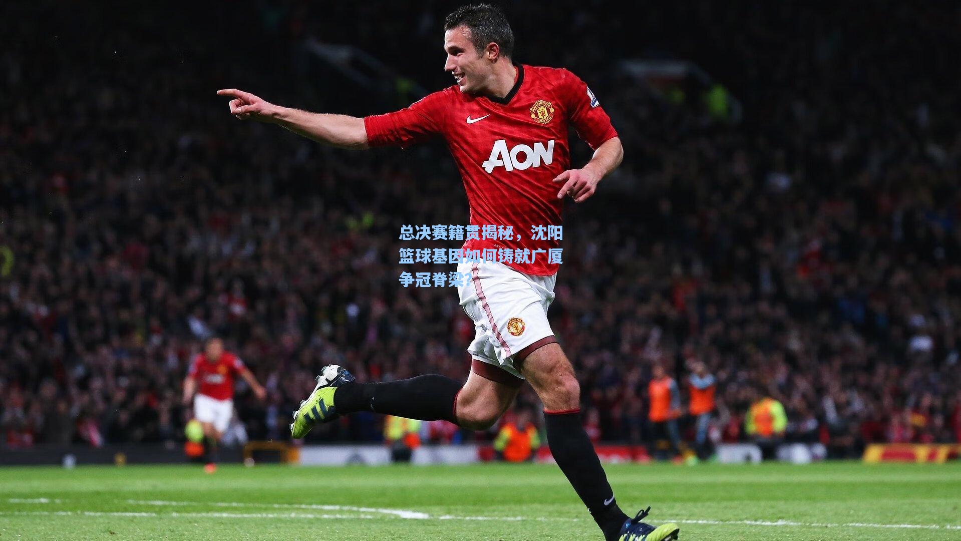 总决赛籍贯揭秘,沈阳篮球基因如何铸就广厦争冠脊梁?