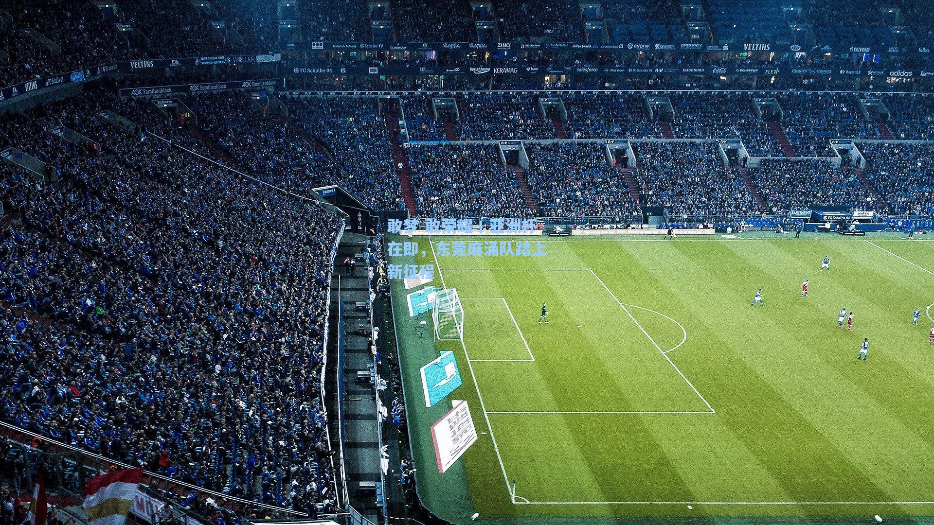 敢梦 敢荣耀丨亚洲杯在即,东莞麻涌队踏上新征程